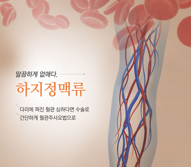 제일항외과