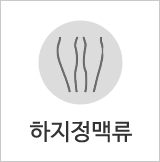 하지정맥류